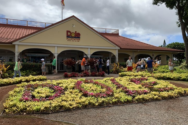 Dole Pineapple Plantation